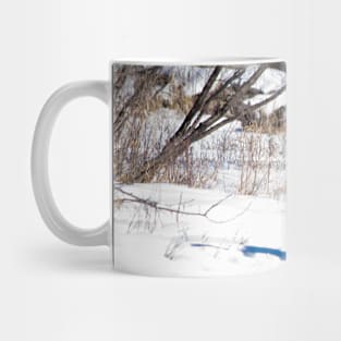 White Tailed Deer. Mug